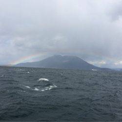 第二 海洋丸 釣果