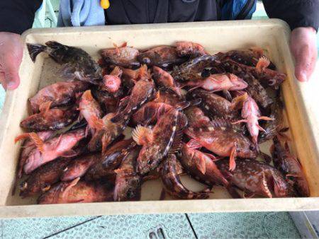 ヤザワ渡船 釣果