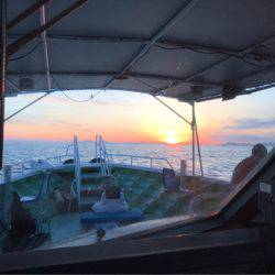 ヤザワ渡船 釣果