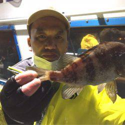 ヤザワ渡船 釣果