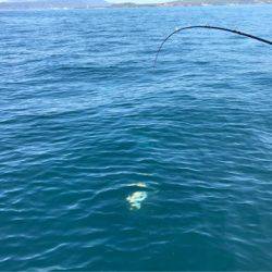 龍神丸（鹿児島） 釣果