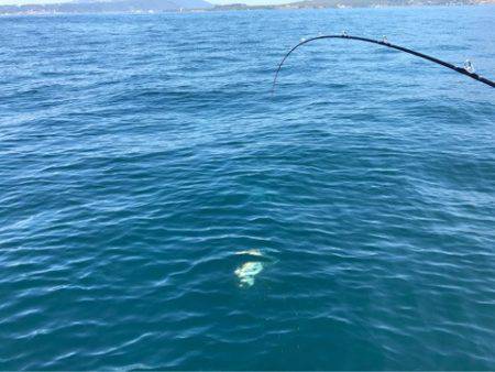 龍神丸（鹿児島） 釣果