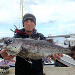 晃山丸 釣果