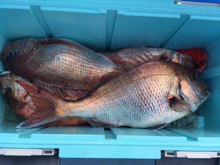 第二八坂丸 釣果