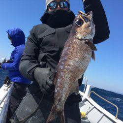 ＴＡＲＯＭＡＲＵ 釣果