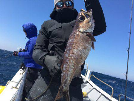 ＴＡＲＯＭＡＲＵ 釣果