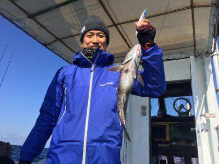 ＴＡＲＯＭＡＲＵ 釣果