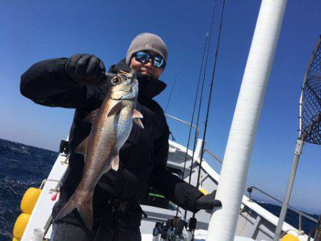 ＴＡＲＯＭＡＲＵ 釣果