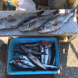 ＴＡＲＯＭＡＲＵ 釣果