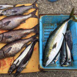 ＴＡＲＯＭＡＲＵ 釣果