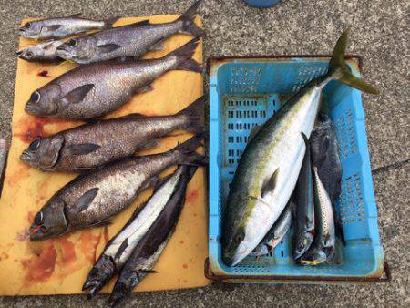 ＴＡＲＯＭＡＲＵ 釣果