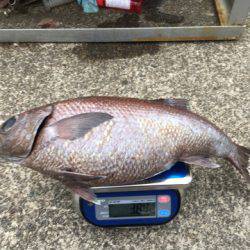 ＴＡＲＯＭＡＲＵ 釣果