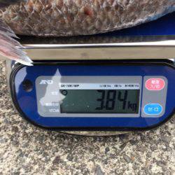 ＴＡＲＯＭＡＲＵ 釣果