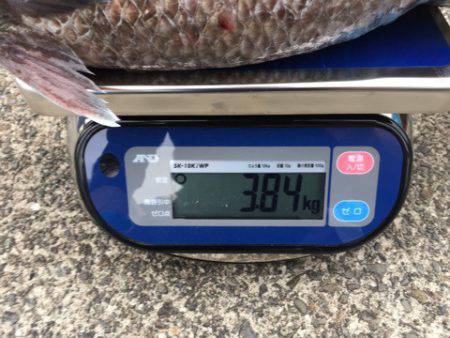 ＴＡＲＯＭＡＲＵ 釣果