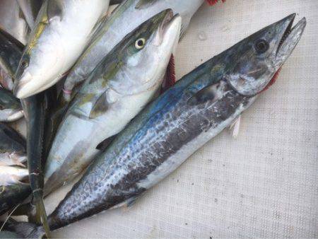 海楽隊 華栞丸 釣果