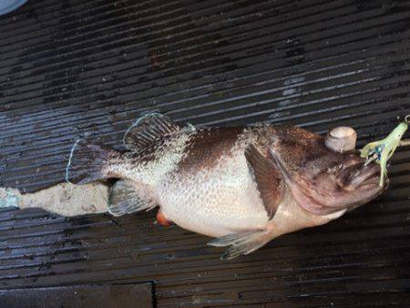 第二龍勢丸 釣果