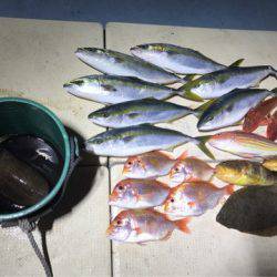 Monster Rush! 釣果