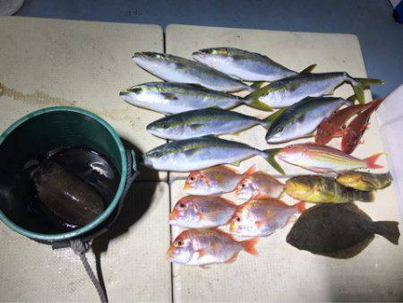 Monster Rush! 釣果