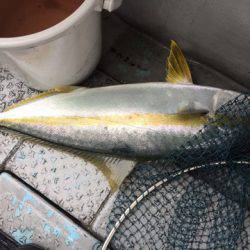 第二龍勢丸 釣果