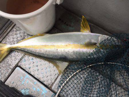 第二龍勢丸 釣果