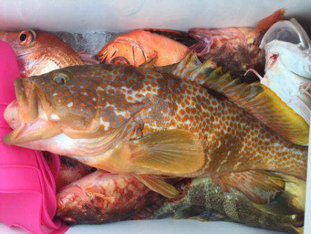 第二龍勢丸 釣果