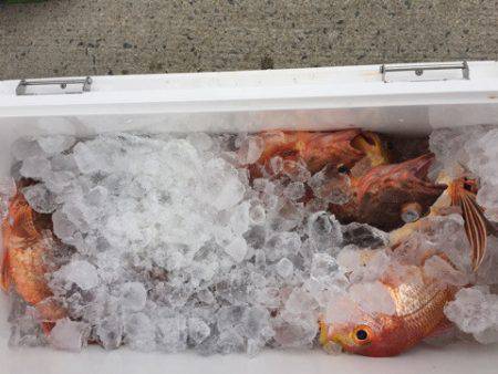 第二龍勢丸 釣果