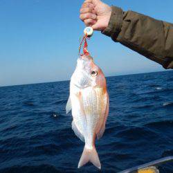 渡船屋たにぐち 釣果