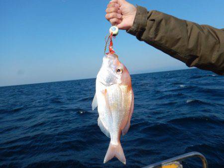 渡船屋たにぐち 釣果