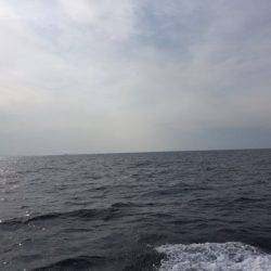 第二龍勢丸 釣果