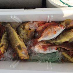 第二龍勢丸 釣果