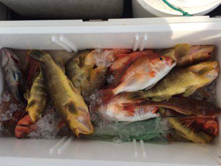 第二龍勢丸 釣果