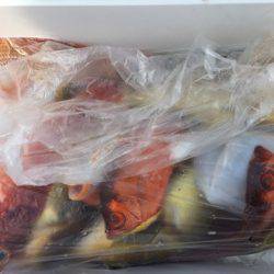 第二龍勢丸 釣果