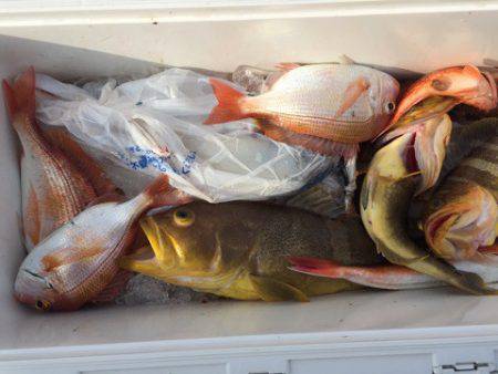 第二龍勢丸 釣果