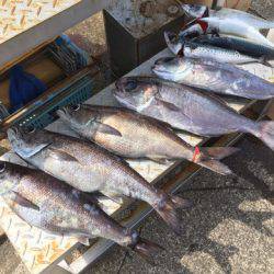 ＴＡＲＯＭＡＲＵ 釣果