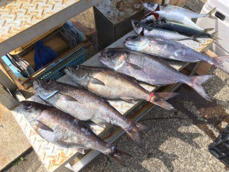 ＴＡＲＯＭＡＲＵ 釣果