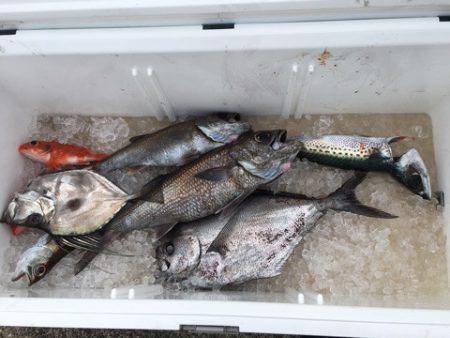 ＴＡＲＯＭＡＲＵ 釣果