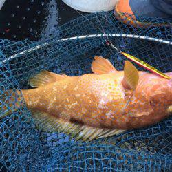 第二龍勢丸 釣果