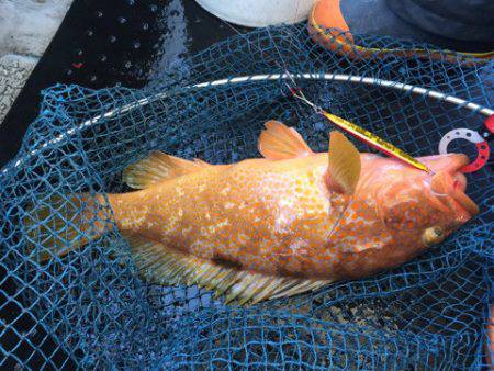 第二龍勢丸 釣果