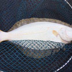 第二龍勢丸 釣果