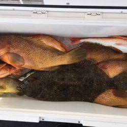 第二龍勢丸 釣果