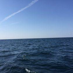 第二龍勢丸 釣果