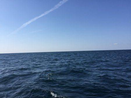 第二龍勢丸 釣果