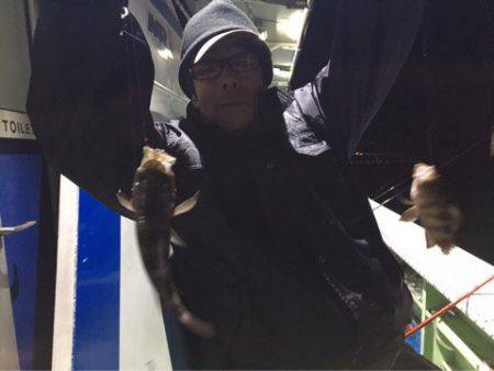 ヤザワ渡船 釣果