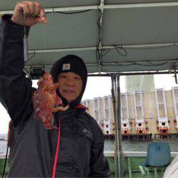 ヤザワ渡船 釣果