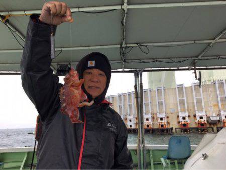 ヤザワ渡船 釣果