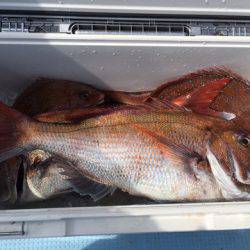 第二八坂丸 釣果