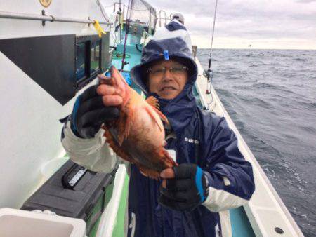 丸万釣船 釣果