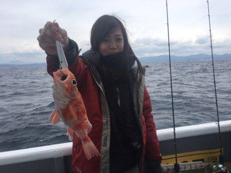 ＴＡＲＯＭＡＲＵ 釣果