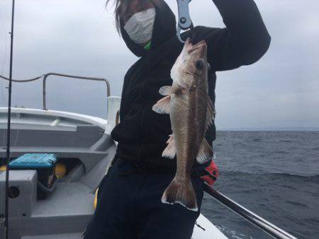 ＴＡＲＯＭＡＲＵ 釣果