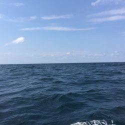 第二龍勢丸 釣果